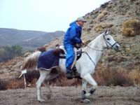 Oweyhee041023_013