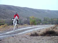 Oweyhee041023_014