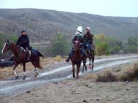 Oweyhee041023_017