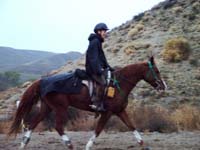 Oweyhee041023_020