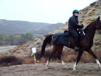 Oweyhee041023_022