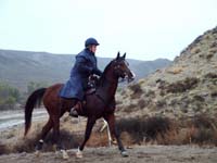 Oweyhee041023_026