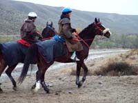 Oweyhee041023_029