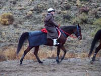 Oweyhee041023_031