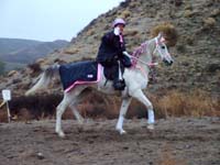 Oweyhee041023_037