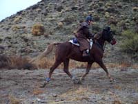 Oweyhee041023_047