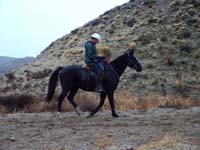 Oweyhee041023_048