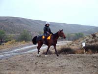 Oweyhee041023_052