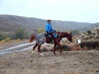 Oweyhee041023_053