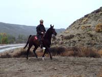 Oweyhee041023_061