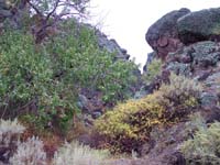 Oweyhee041023_065