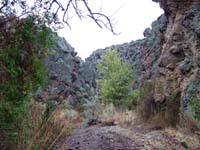 Oweyhee041023_066