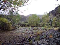 Oweyhee041023_070