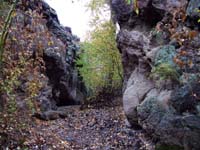 Oweyhee041023_079