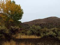 Oweyhee041023_081