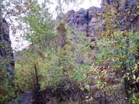 Oweyhee041023_084