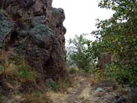Oweyhee041023_090