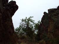 Oweyhee041023_093