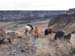 oreana/owyheecanyonlands/2005/Gallery/Day2/thumbnails/IMG_0470.jpg