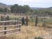 oreana/owyheecanyonlands/2005/Gallery/Day2/thumbnails/IMG_0477.jpg