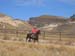oreana/owyheecanyonlands/2005/Gallery/Day2/thumbnails/IMG_0480.jpg