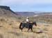 oreana/owyheecanyonlands/2005/Gallery/Day2/thumbnails/IMG_0505.jpg
