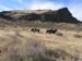 oreana/owyheecanyonlands/2005/Gallery/Day2/thumbnails/IMG_0511.jpg
