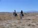 oreana/owyheecanyonlands/2005/Gallery/Day3/thumbnails/IMG_0614.jpg
