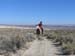 oreana/owyheecanyonlands/2005/Gallery/Day3/thumbnails/IMG_0630.jpg