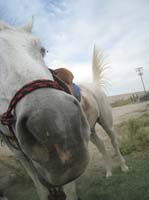 0809OWYC_211