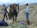 DSCN0862
