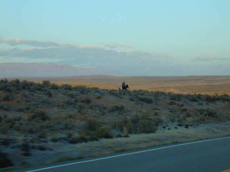DSCN0963