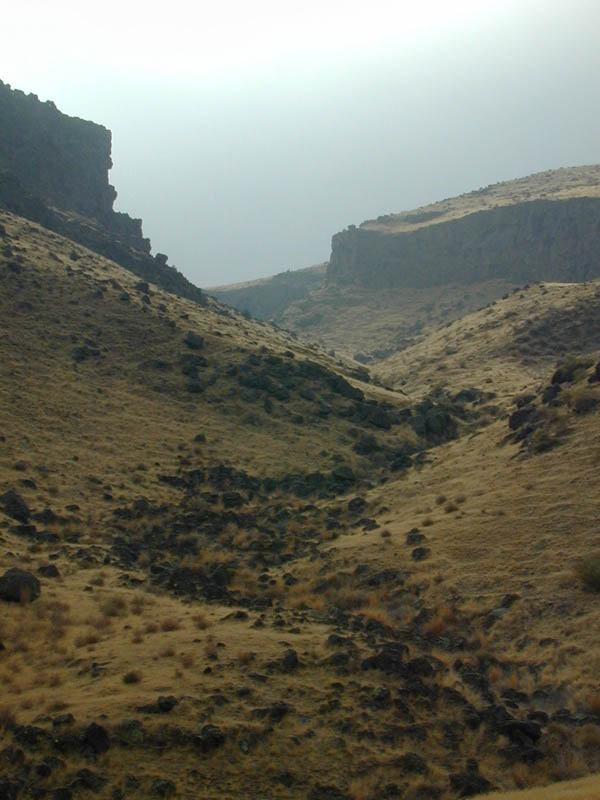 Dscn1003
