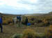 DSCN0945
