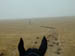 Dscn0981