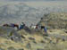 Dscn0991