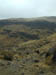 Dscn0994