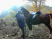 Dscn1132