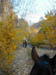 Dscn1137
