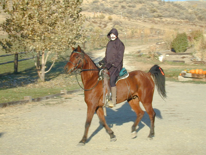 DSCN1243