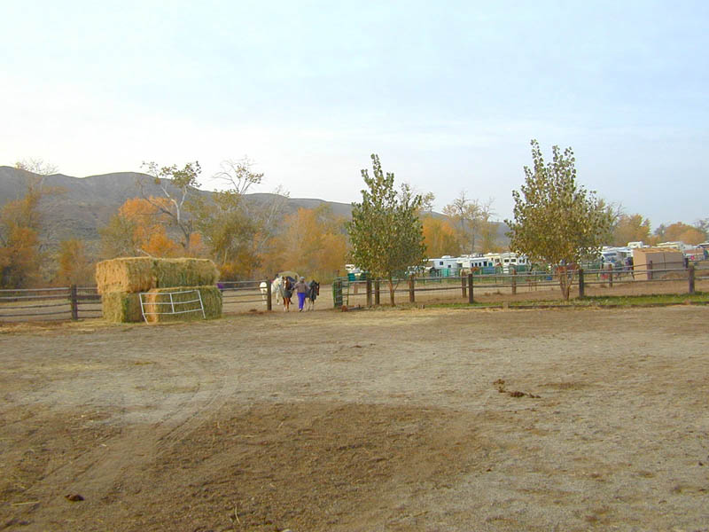 DSCN1093