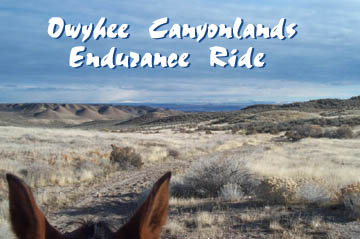 Owyhee Canyonlands Endurance Ride
