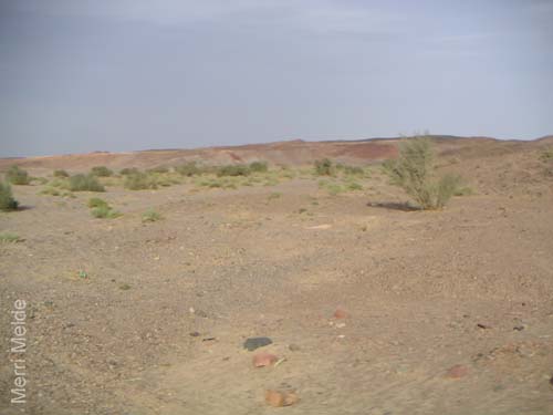 a_465_Sinai