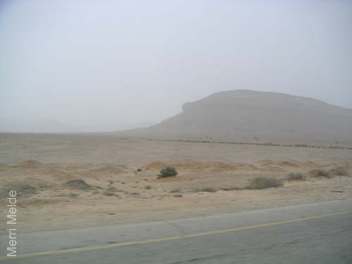 b_516_Sinai