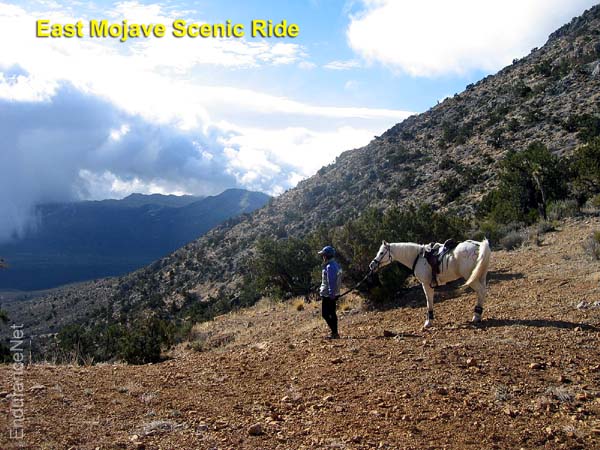 2004 East Mojave Scenic Ride