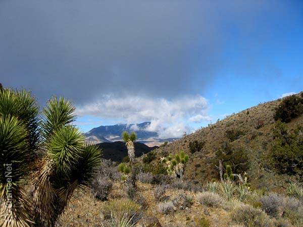 IMG_3380