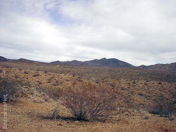 IM001152
