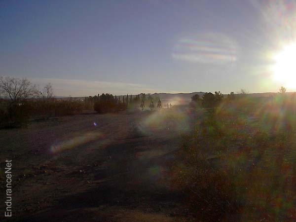 IM001172