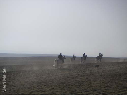 4_091_ride