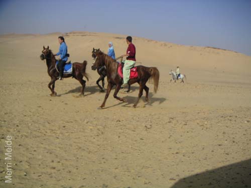 4_094_ride